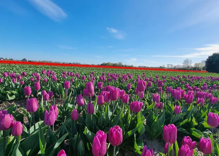 Bodhi House Prázdninový dům